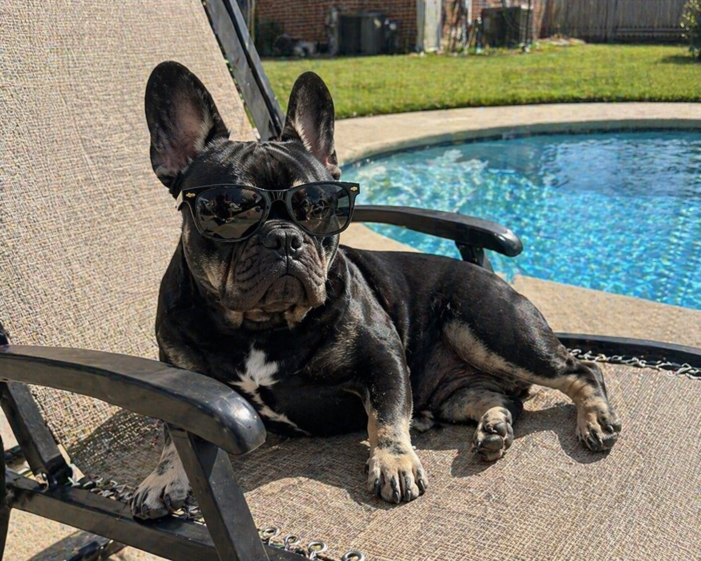 Kodak poolside