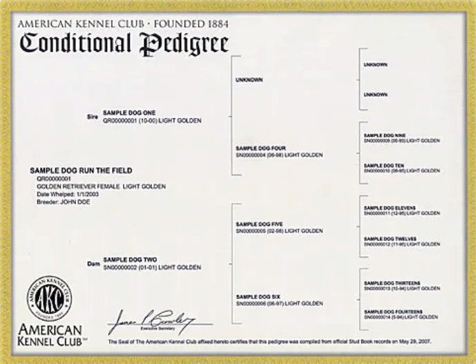 Kodak AKC Certification