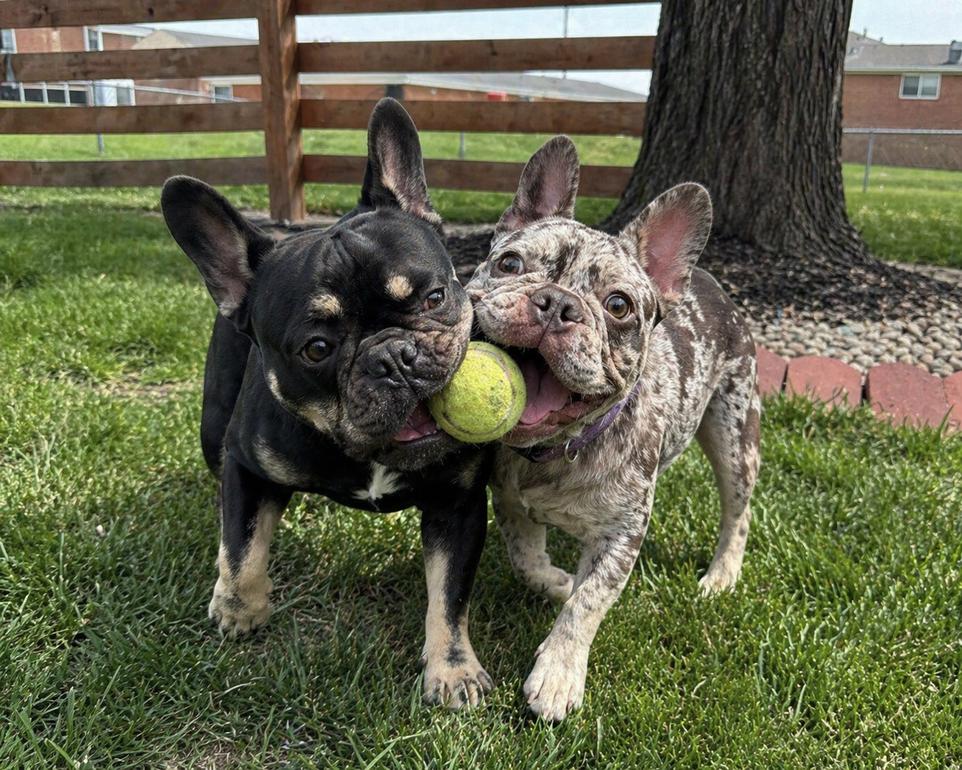 Kodak and Cocoa