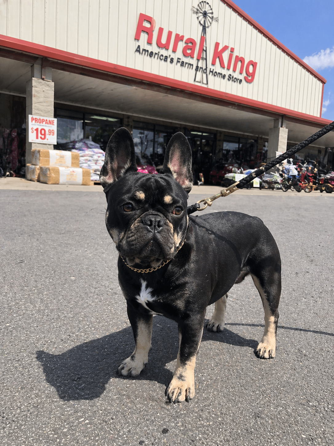 Kodak at Rural King