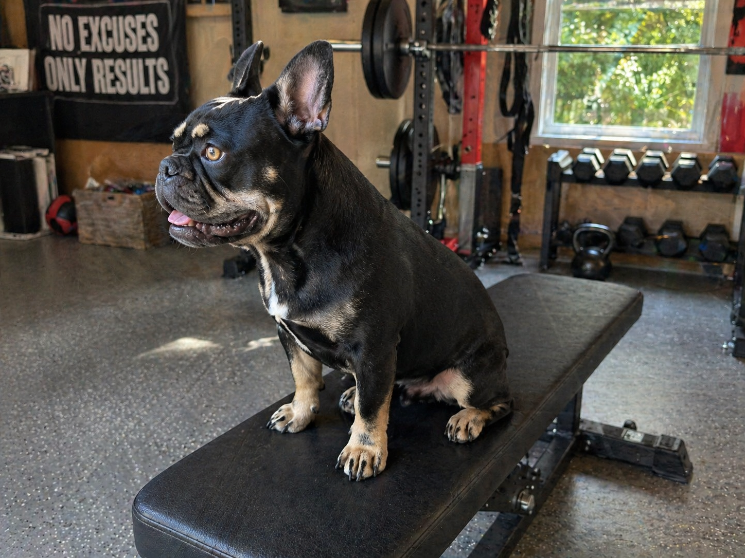 Kodak on Weight Bench